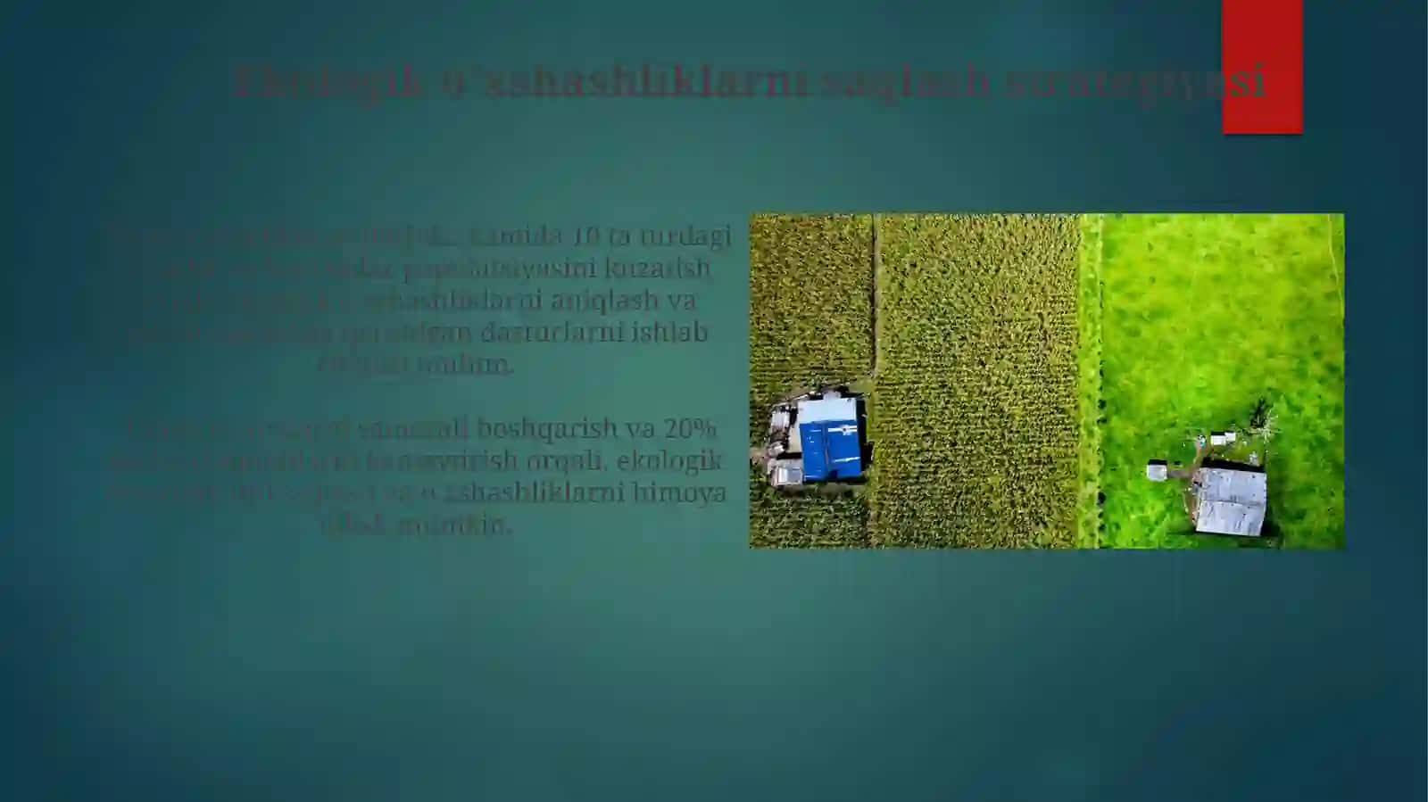 Ekologik o'xshashliklar 3