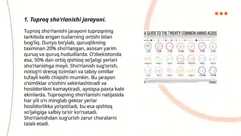 Tuproq shoʻrlanish jarayoni 3
