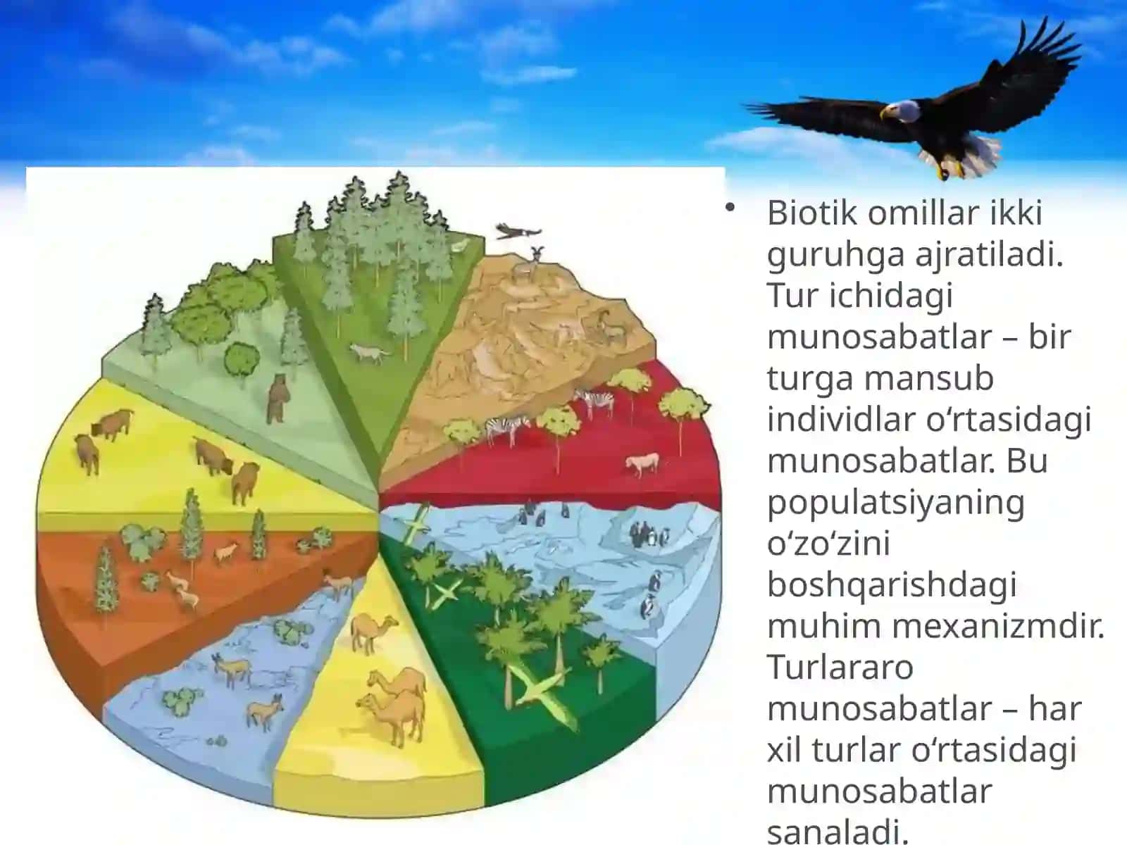 Muhitning biotik omillari 3