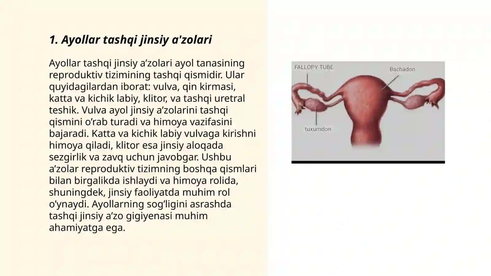Ayollar tashqi jinsiy a'zolari 3