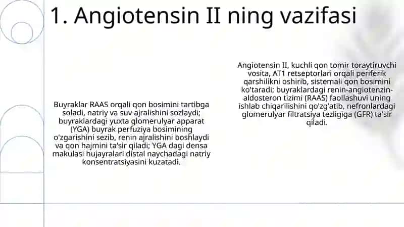 Arterial bosimning boshqariluvida buyraklarning roli 3