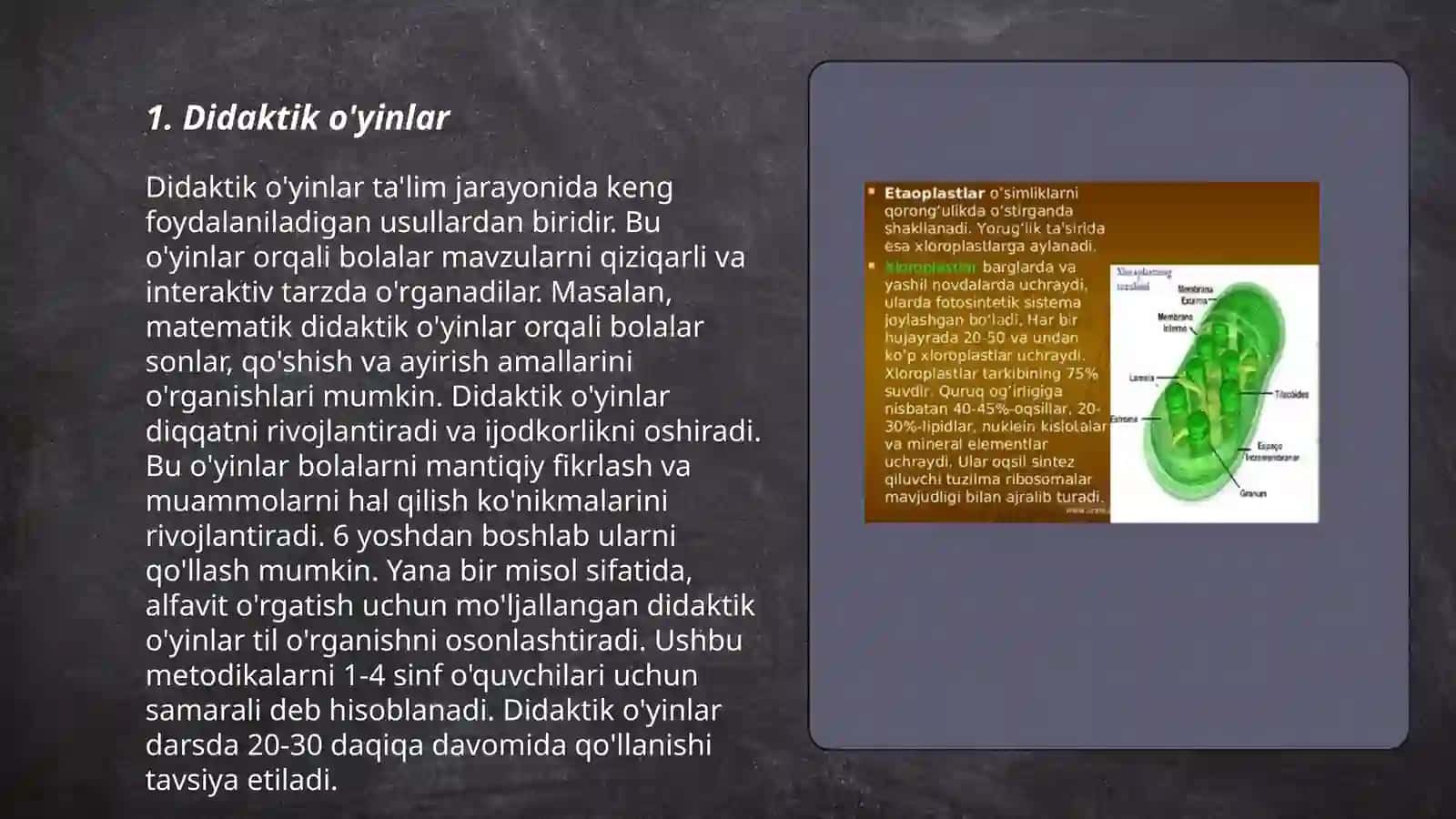 Plastidalarning turlari va ularning vazifalari 3
