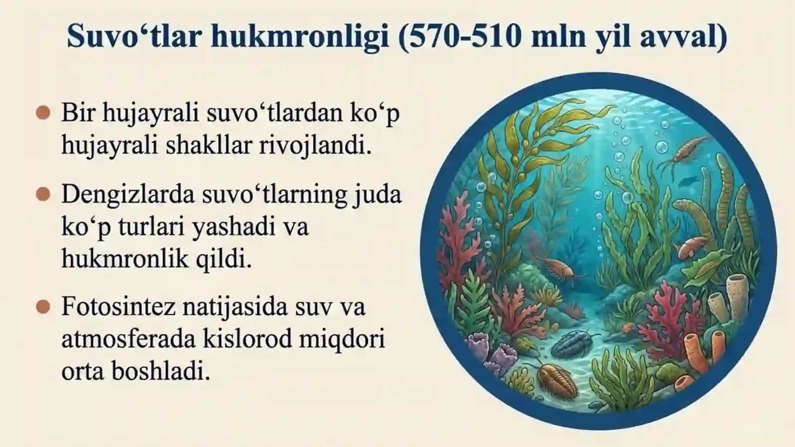 Yerda o'simliklar dunyosining rivojlanishi 3