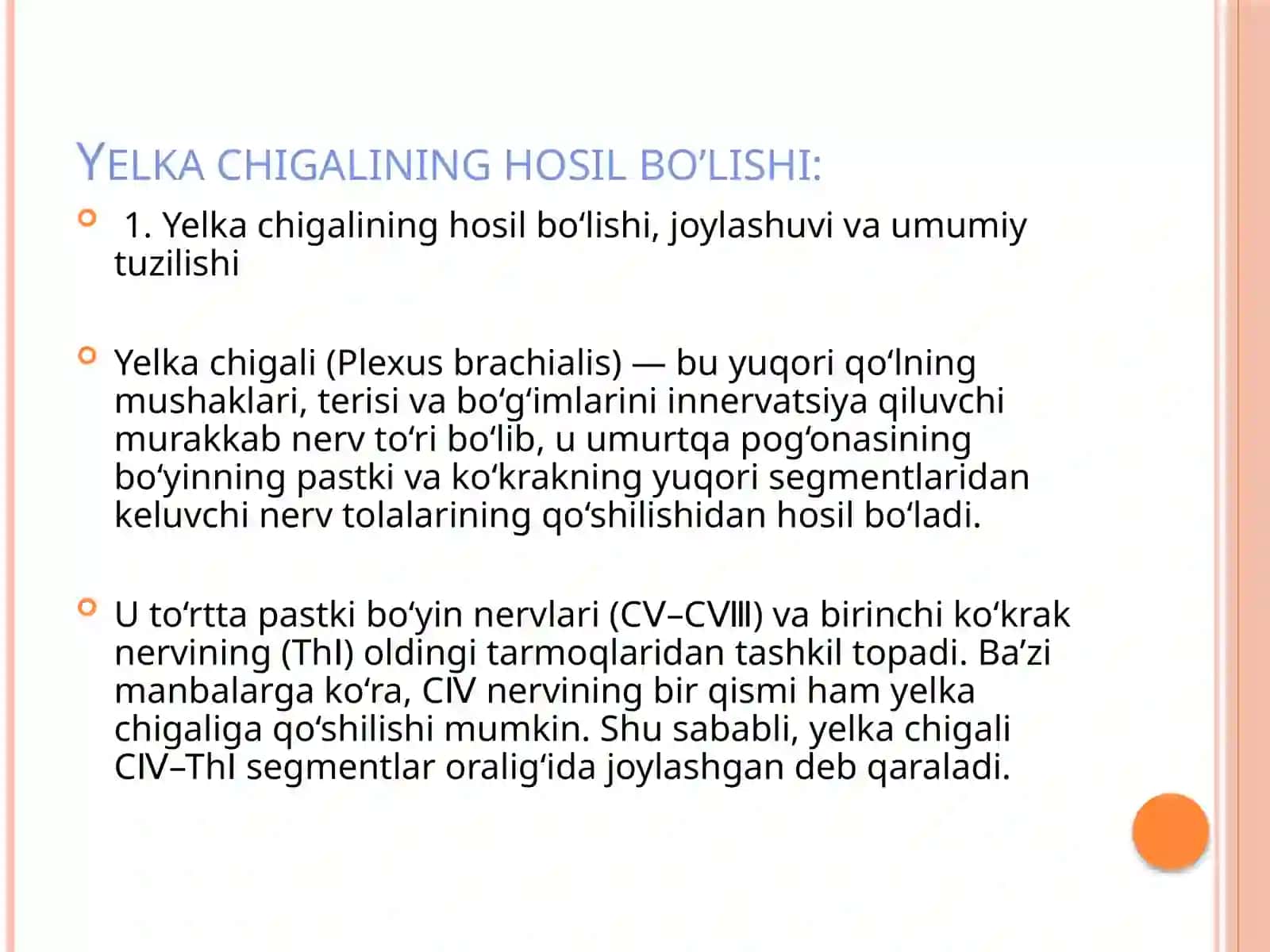 yelka chigali(plexus brachialis) 3
