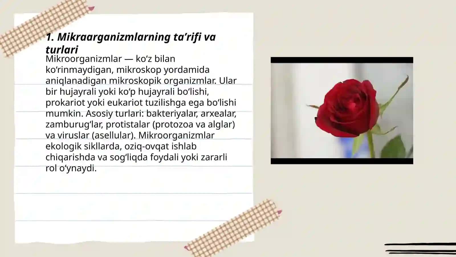 Mikraarganizm 3
