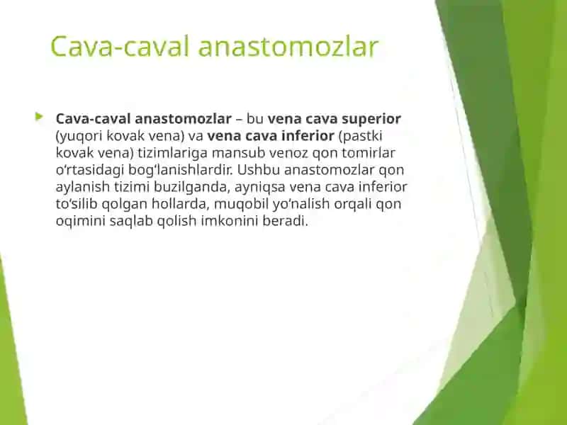 Cava-cavalvaPorto-cavalanastomozlar 3