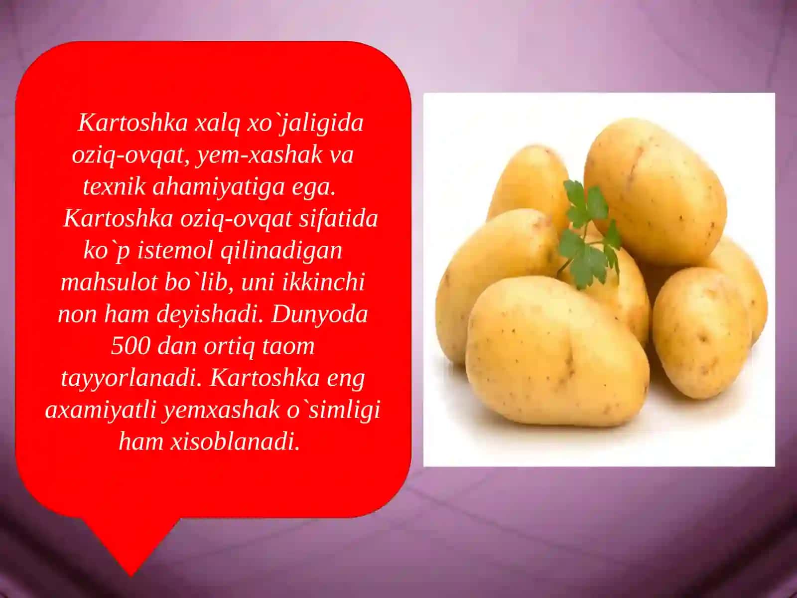 Kartoshkachilik fanidantayyorlagan taqdimot 3