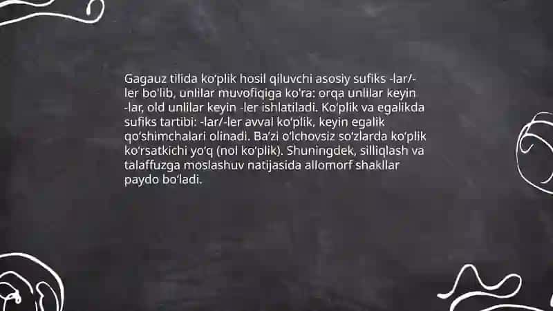 Gagauz tilida koʻplik son va egalik, kelishik kategoriyasi 3