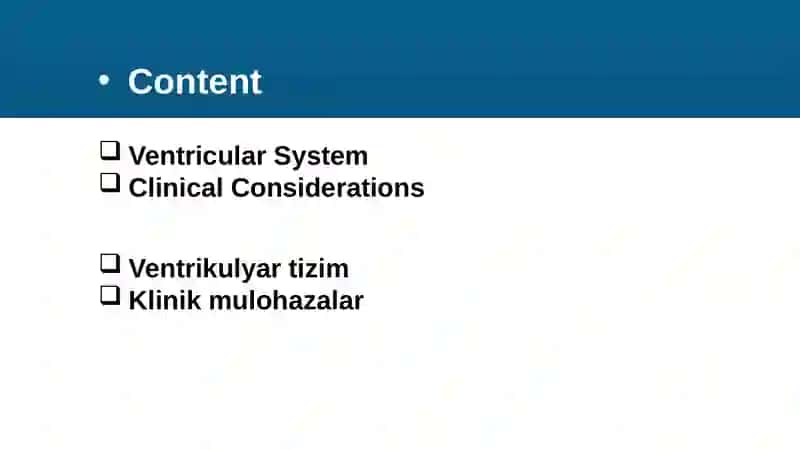 Ventricles Anatomy 3