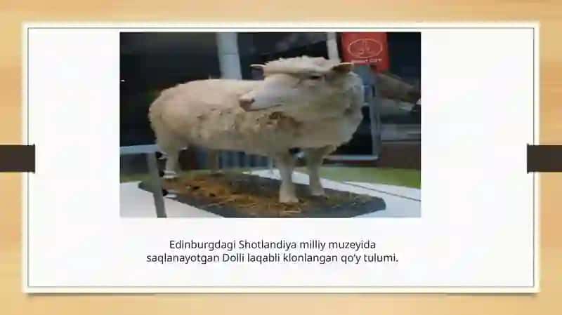 Biotexnologiya 3