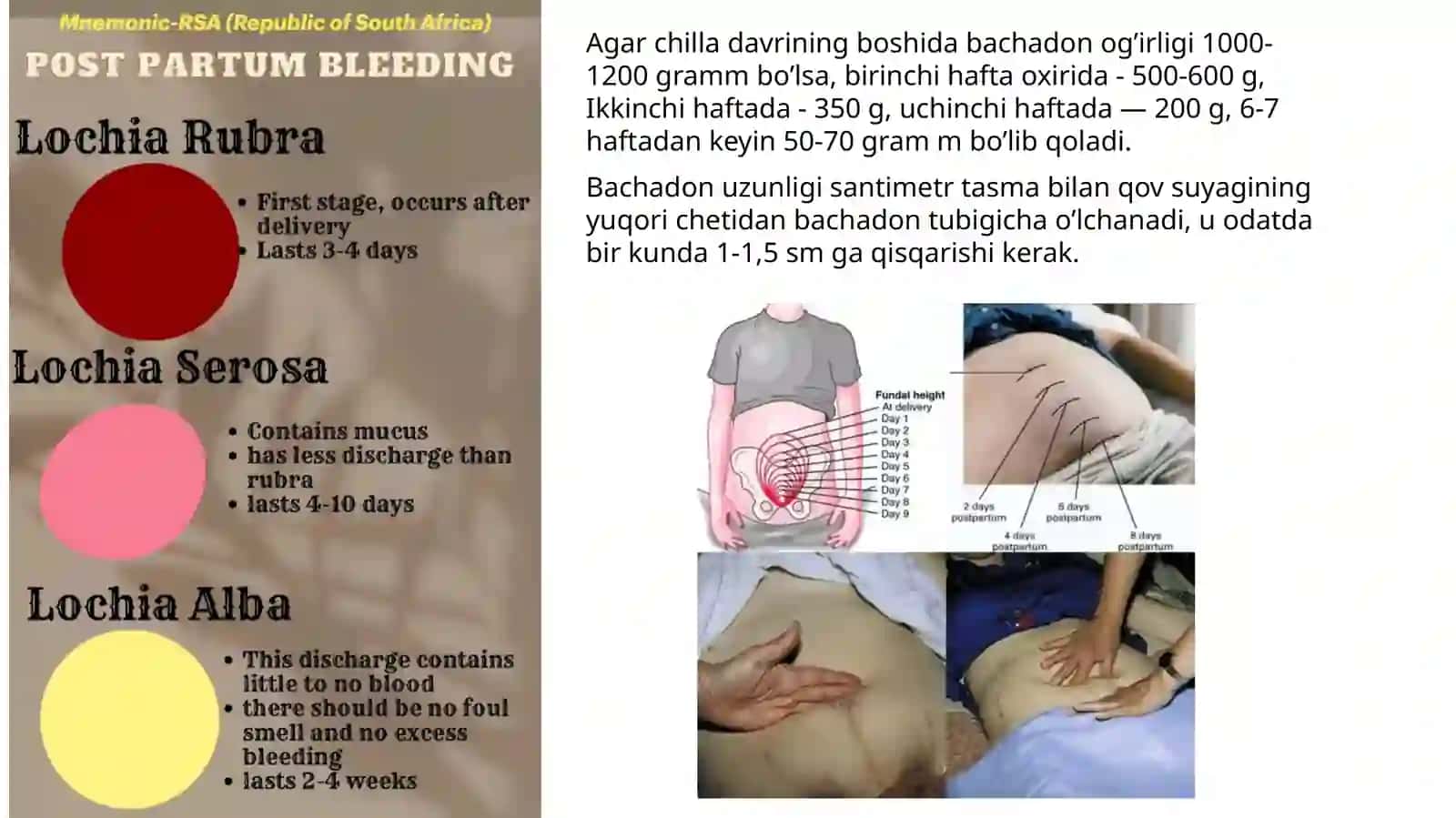 Fiziologik chilla davri mustaqil ish 3