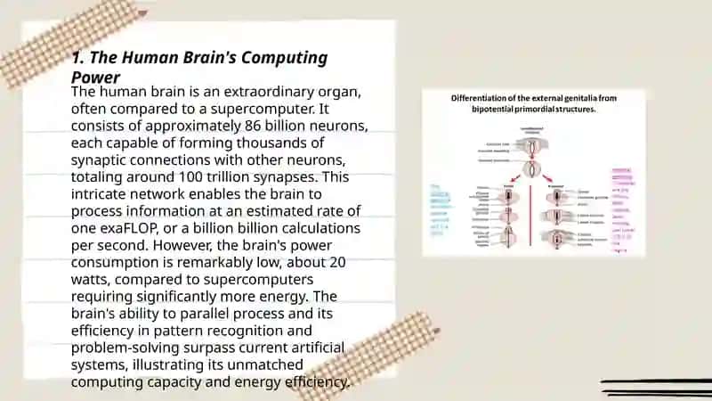 Amazing and unbelievable facts about our body 3