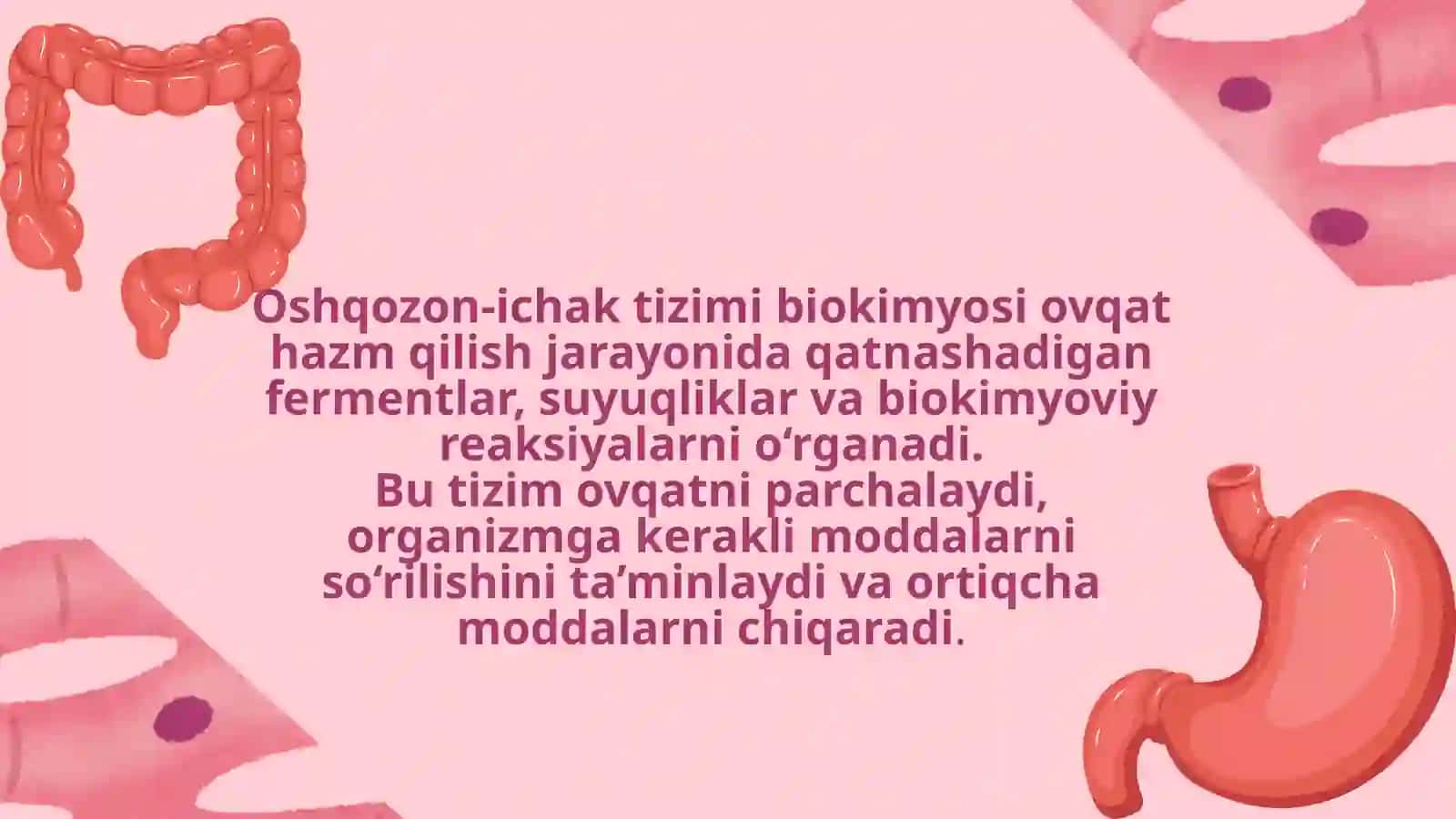 OSHQOZON-ICHAK TIZIMI BIOKIMYOSI 3