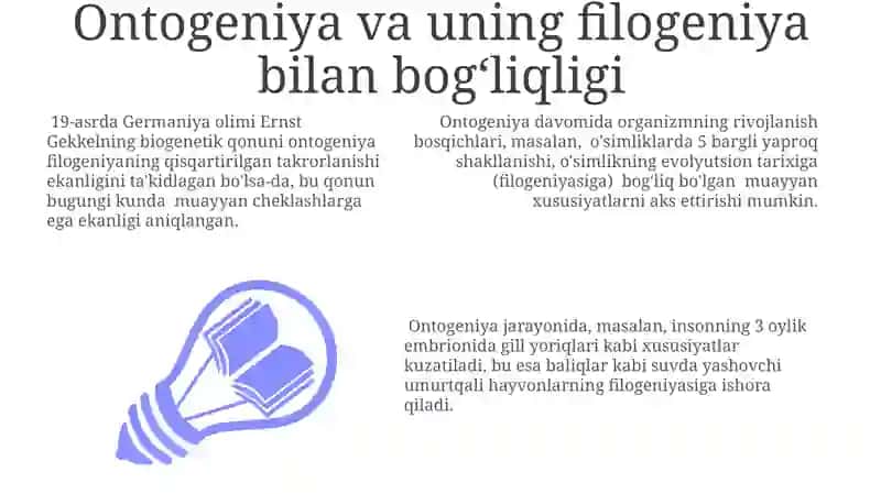 Filogenez va ontogenez haqida tushuncha 3