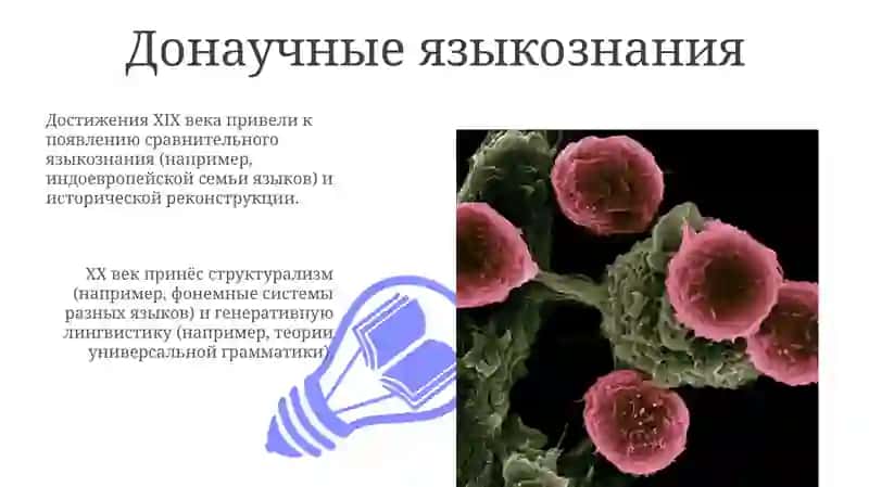 Развитие языкознания как науки 3