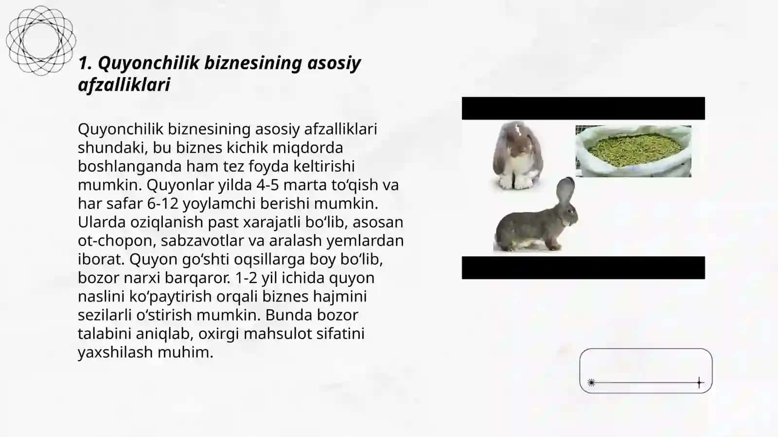 Quyonchilik Biznesi Haqida 3