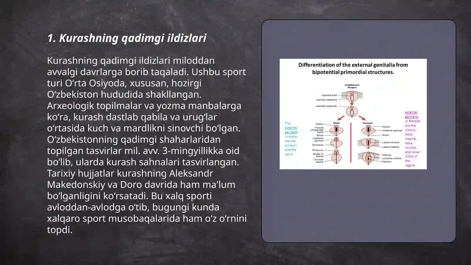 Kurash qoidalarining rivojlanish tarixi 3