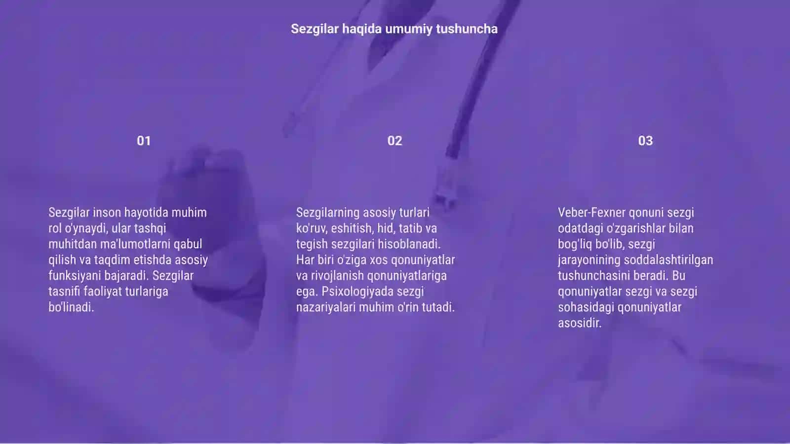 Sezgilar haqida umumiy tushuncha 3