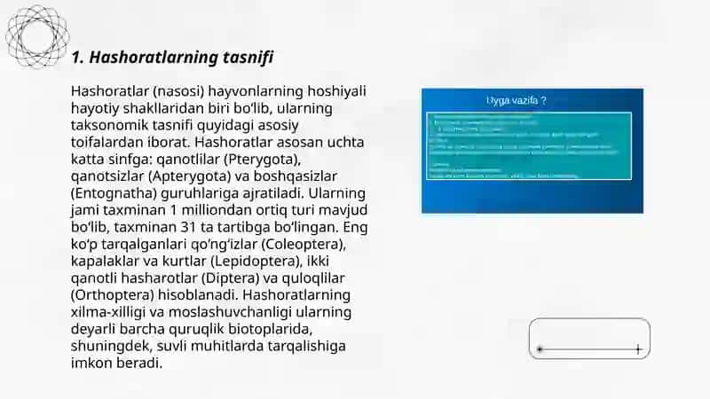 Hashoratlar sistematikasi 3