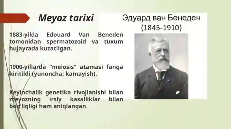 Meyoz jarayoni 3