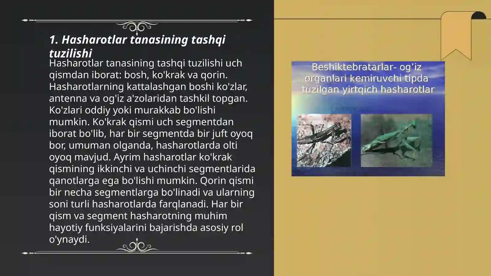 Hasharotlarning morfologik belgilari 3