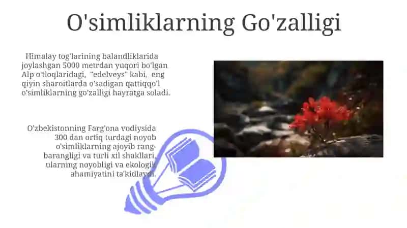 O'simliklarning Go'zalligi 3