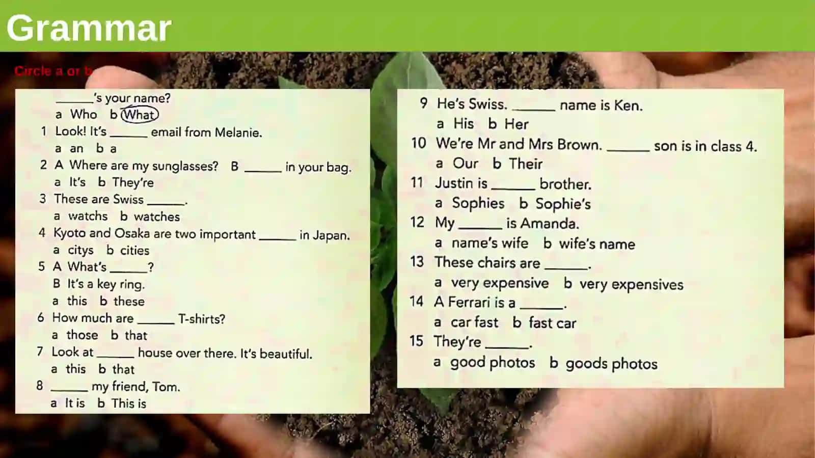 Lesson Plan 3
