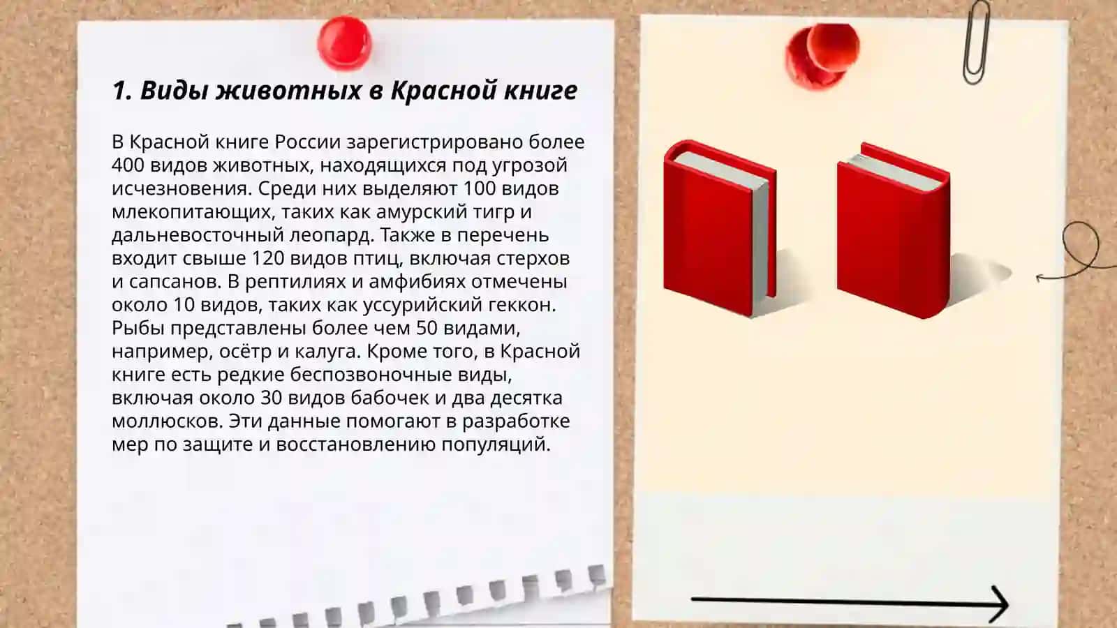 Красная книга 3