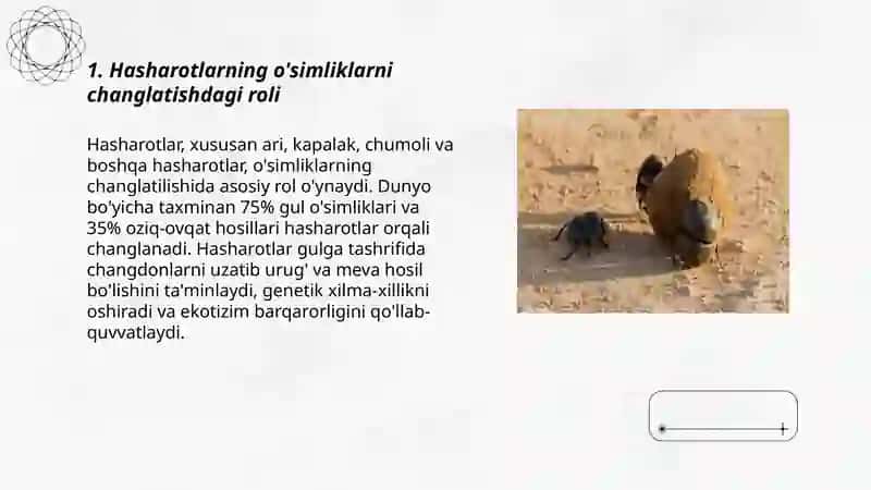 Hasharotlarning tabiatdagi ahamiyati 3