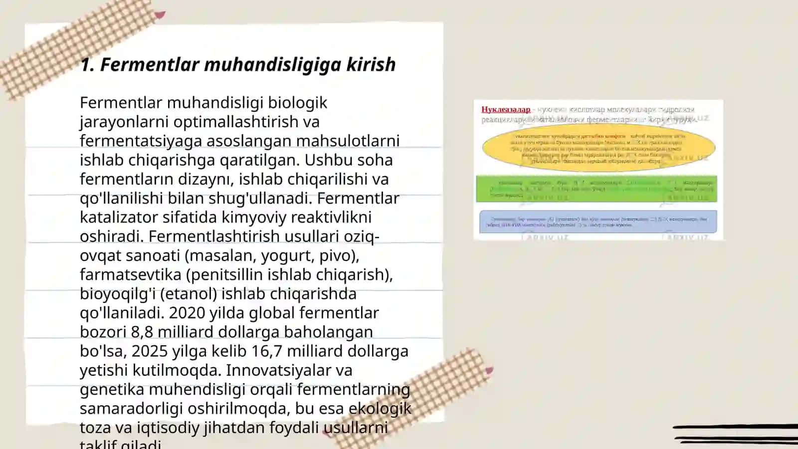 Fermentlar muhandisligi 3