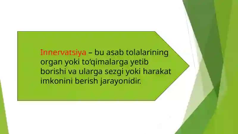 OYOQ TERISI INNERVATSIYASI 3
