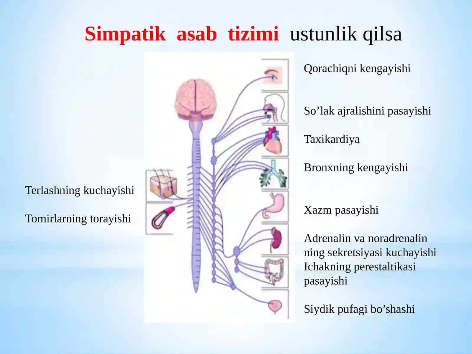 Vejetativ asab tizimi kasalliklari 3
