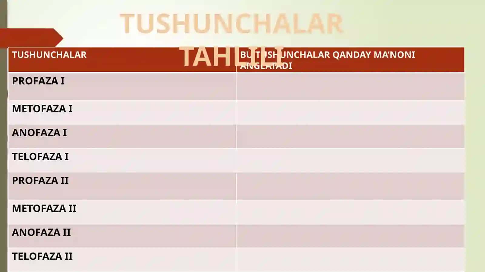 MEYOZ Tushunchalari 3