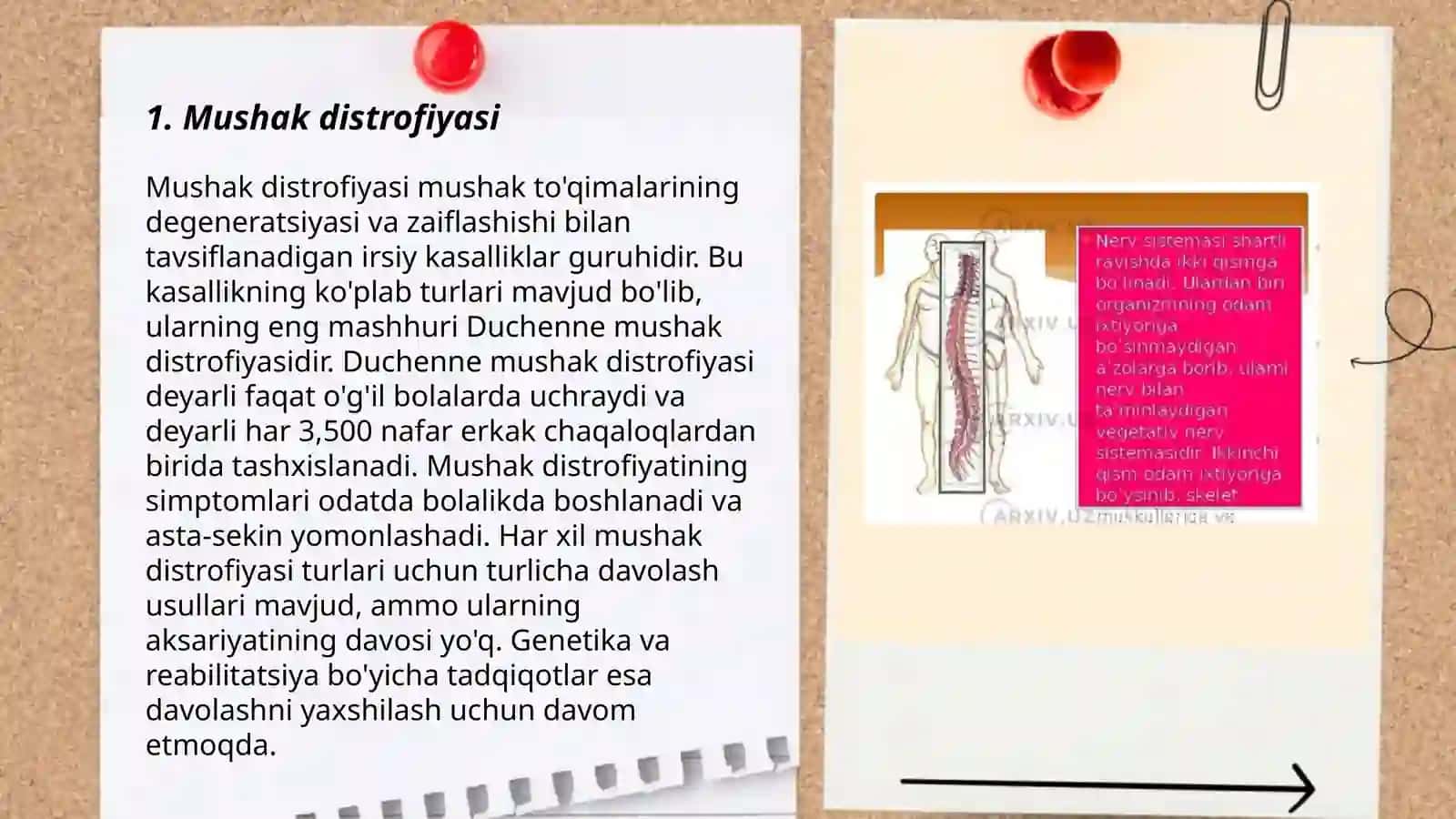 Mushak sistemasining kasalliklari 3