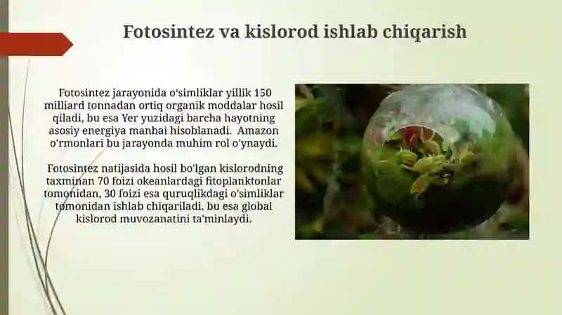 Oʻsimliklarning inson va biosferadagi tutgan oʻrni 3