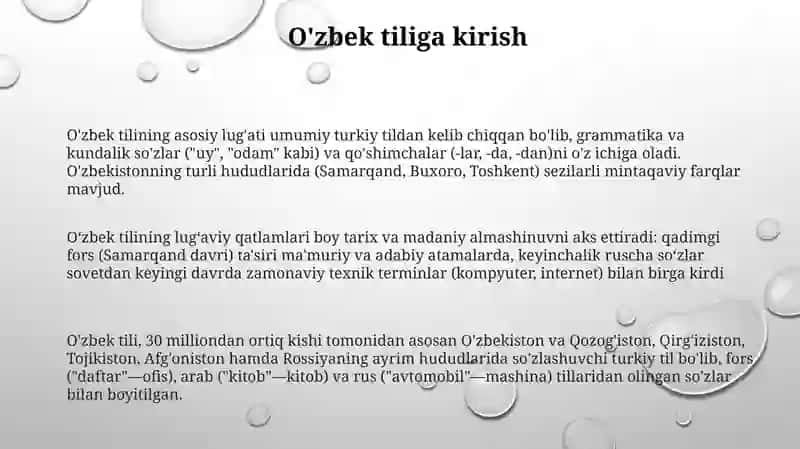 O'zbek tili leksikasi 3
