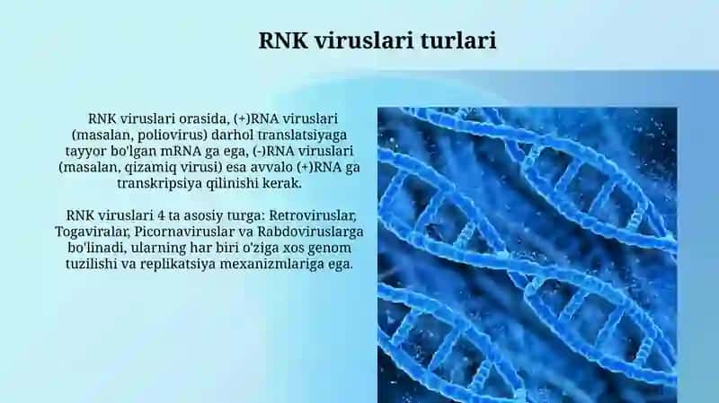 Virus RNKsining Sintezi 3
