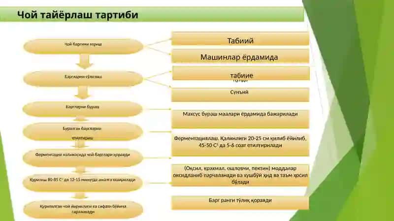 Лаззатлимаҳсулотлар 3