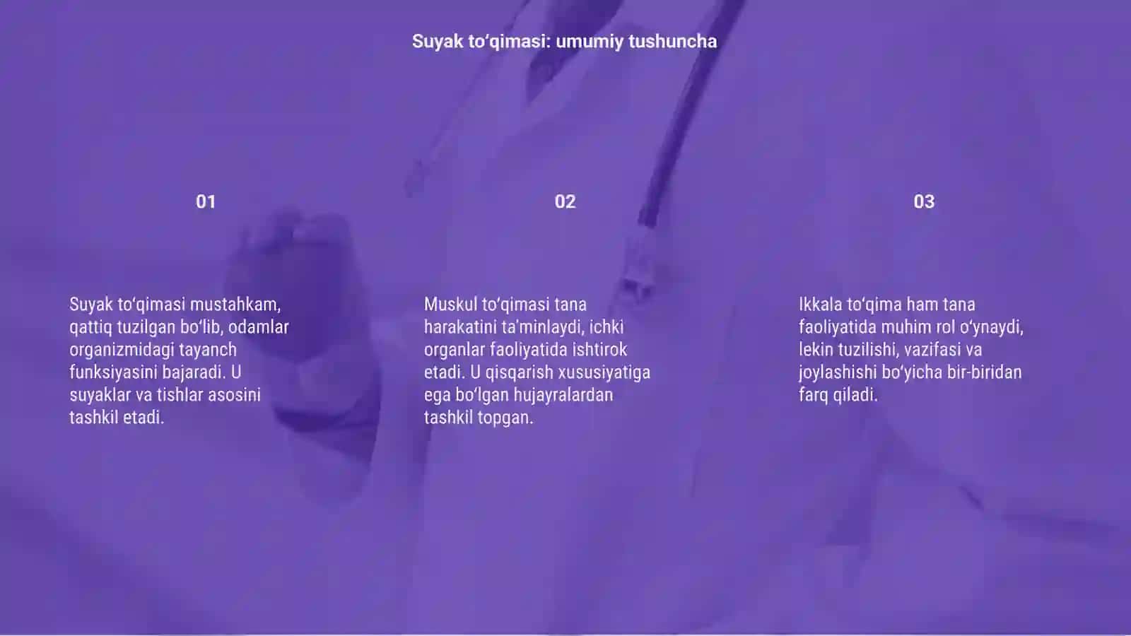 Suyak to‘qimasi.Muskul to‘qimasi 3