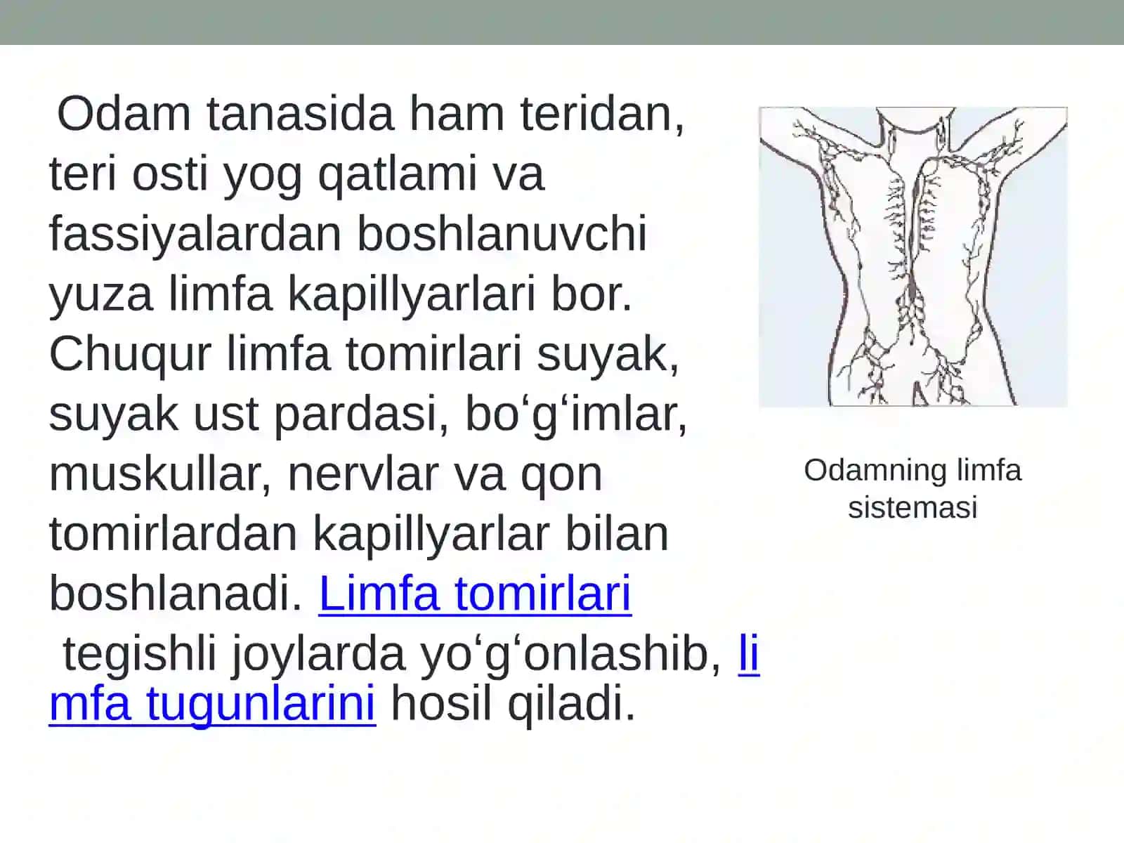 Biologik vaijtimoiy jismoniy tarbiya darsi 3