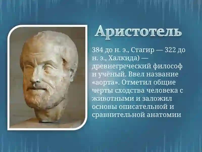 - Tags (comma-separated): древнегреческие врачи, история медицины, Гиппократ, Аристотель, Гален, анатомия 3