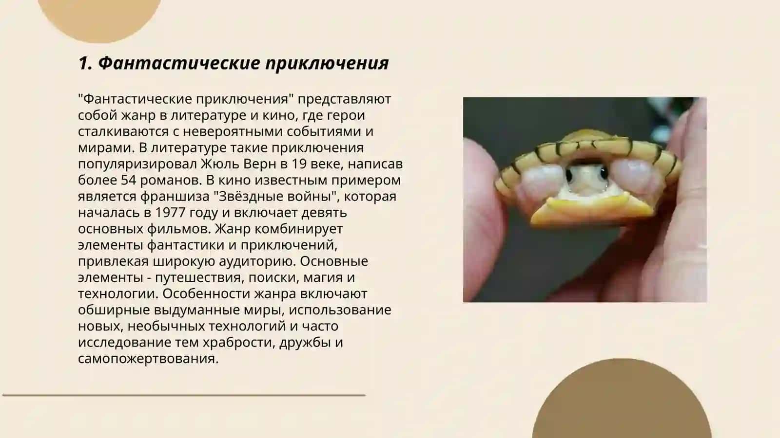 Фантастические приключения 3