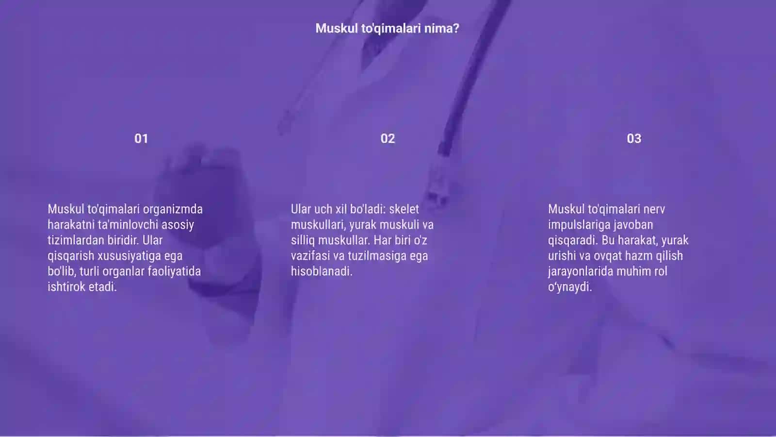 Muskul to'qimalari 3