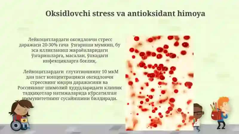 Leykotsitlar metabolizimi xususiyatlari 3