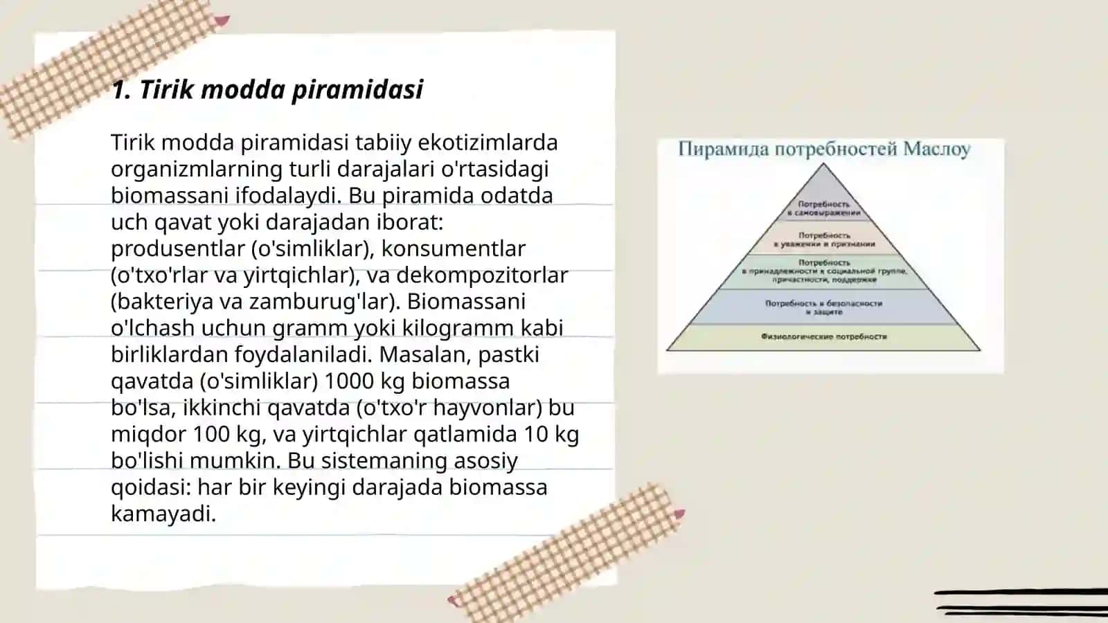 Ekologik piramida qoidalari 3