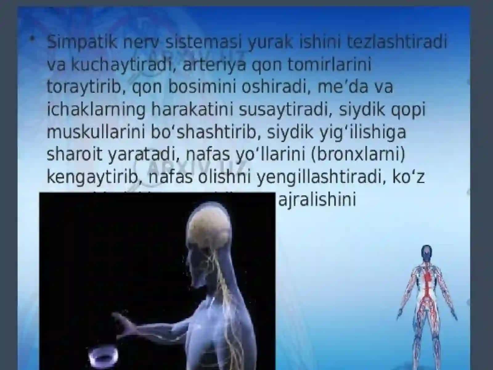 Vegetativ nerv sistemasining faoliyatini oʻrganish 3