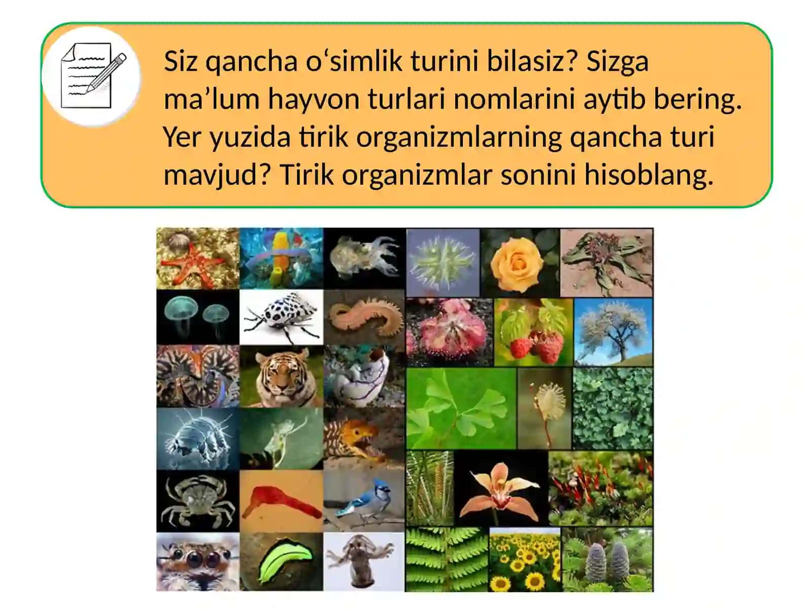 TIRIK ORGANIZMLAR KLASSIFIKATSIYASI 3