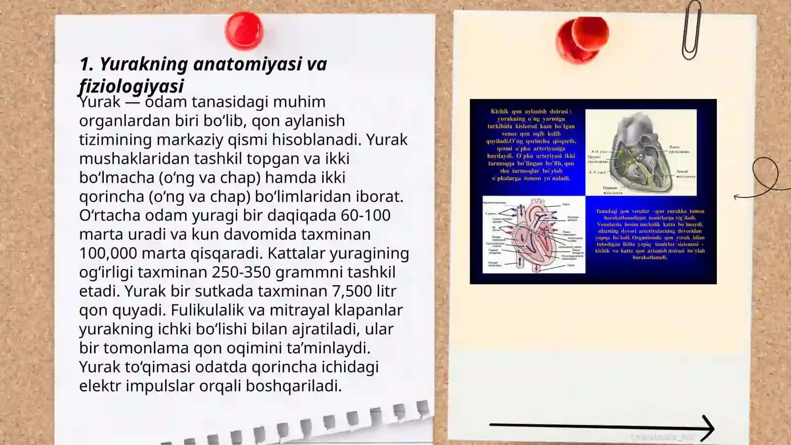 Yurak faoliyatining boshqarilishi 3