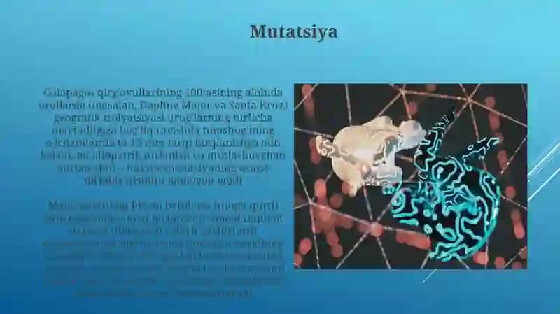 Mikroevolyutsiya ta`limoti 3