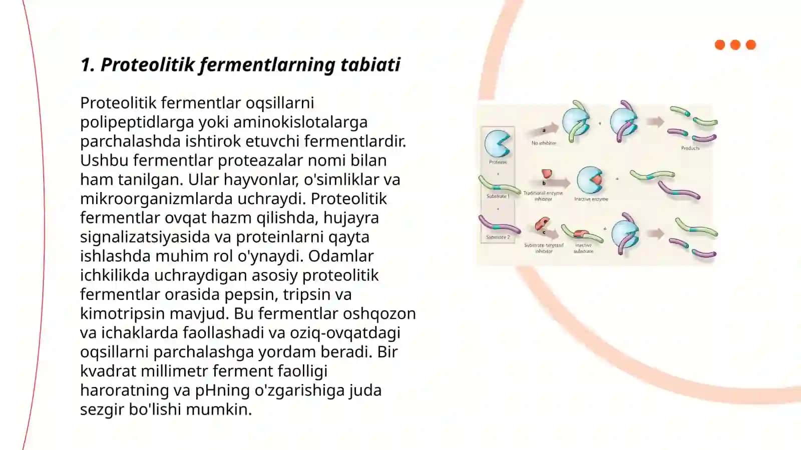 Proteolitik fermentlar va ularning xossalari 3